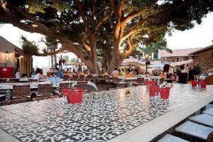vicky cristina, Tel Aviv, Israël, restaurant, outside, terrasse, food, hype, fashion, party, music, musique