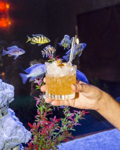 bluebird, bar, paris, cocktails, charonne