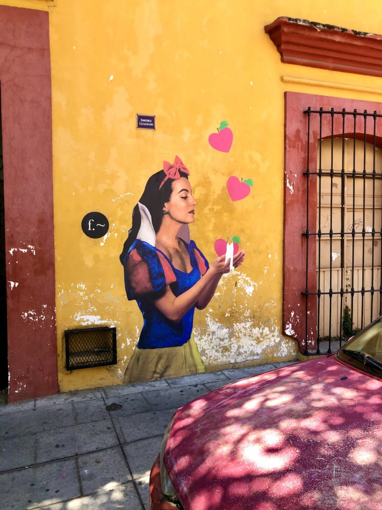 street art ; oaxaca city ; oaxaca